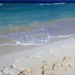 mare